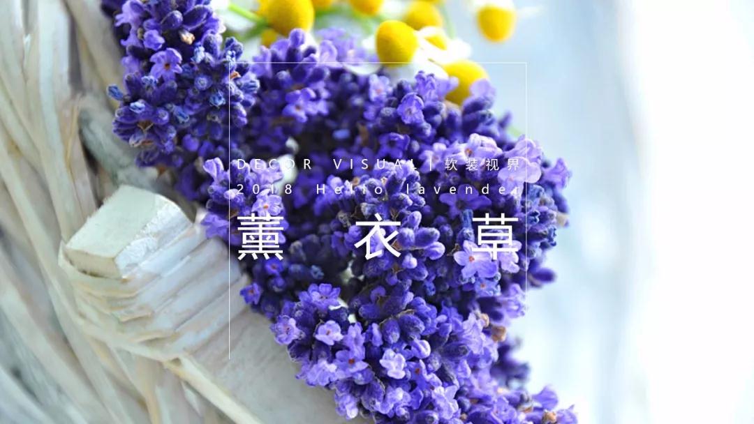 微信图片_20200714174446.jpg